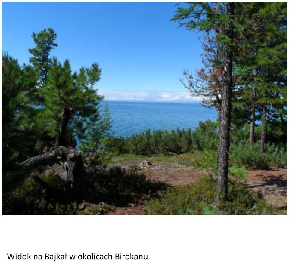okolicach