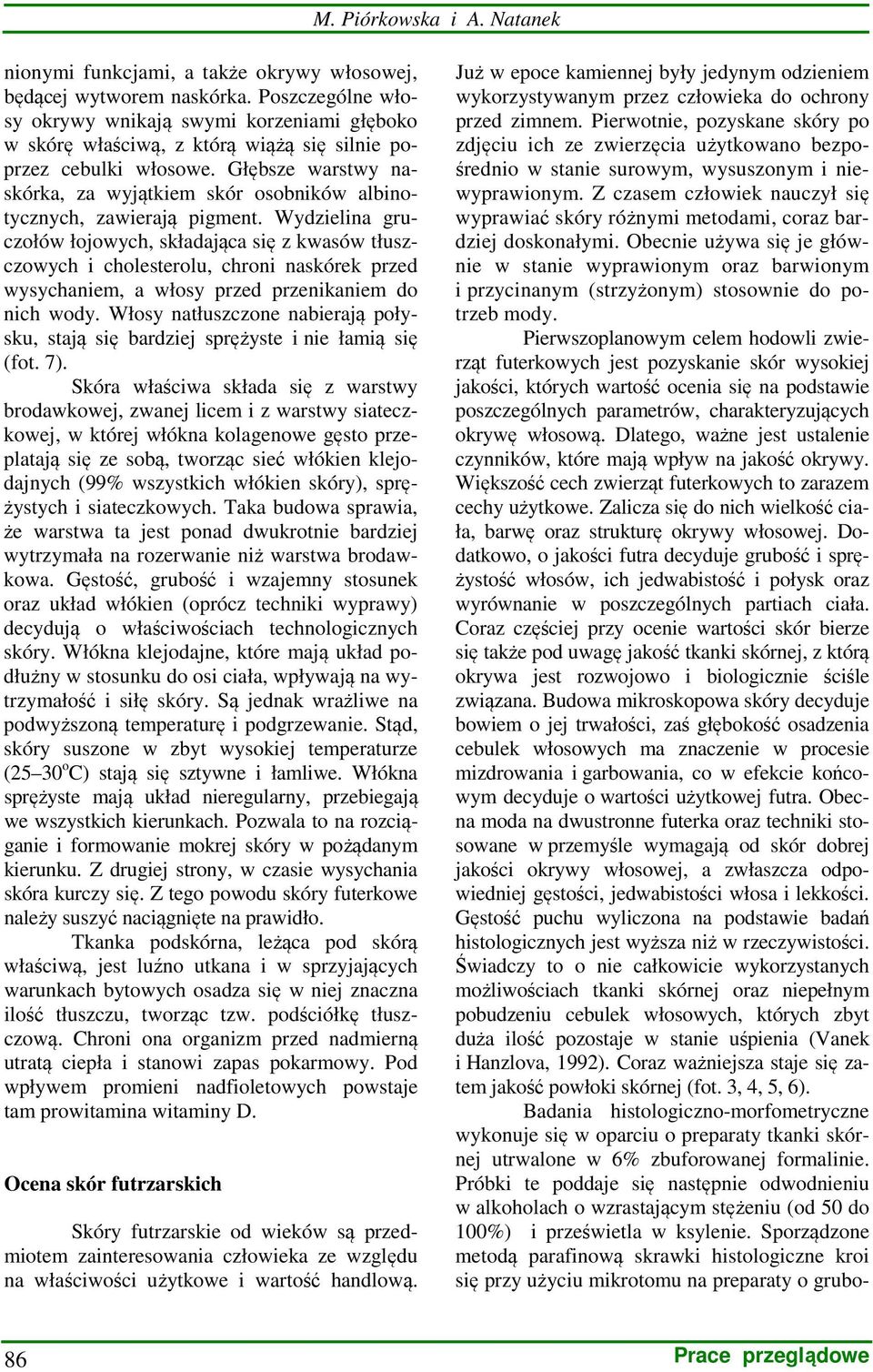 Głębsze warstwy naskórka, za wyjątkiem skór osobników albinotycznych, zawierają pigment.