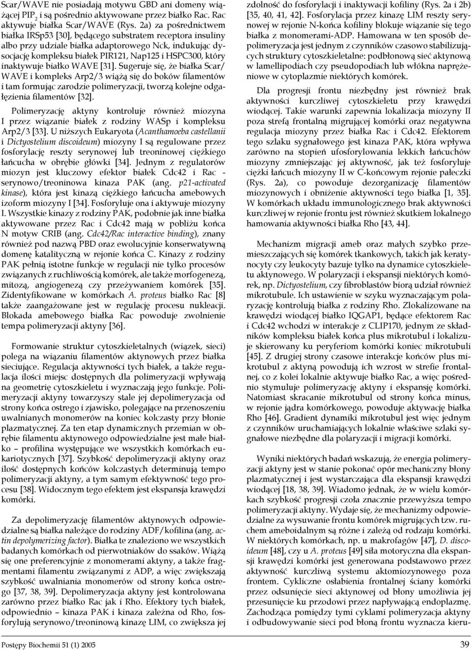 inaktywuje białko WAVE [31]. Sugeruje się, że białka Scar/ WAVE i kompleks Arp2/3 wiążą się do boków filamentów i tam formując zarodzie polimeryzacji, tworzą kolejne odgałęzienia filamentów [32].