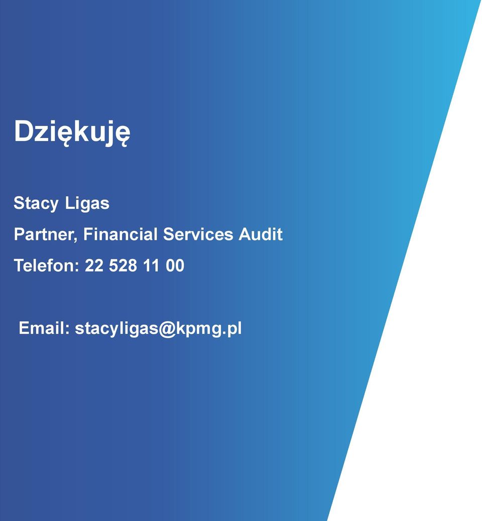 Services Audit Telefon: