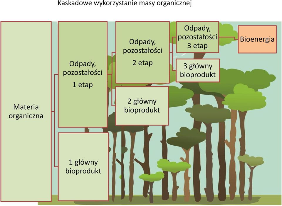 Odpady, pozostałości 3 etap 3 główny bioprodukt