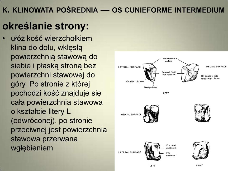 stawowej do góry.