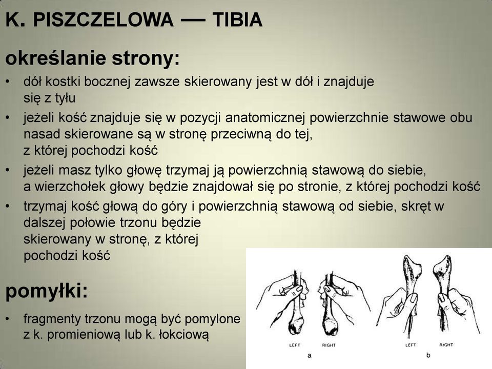 powierzchnią stawową do siebie, a wierzchołek głowy będzie znajdował się po stronie, z której pochodzi kość trzymaj kość głową do góry i powierzchnią