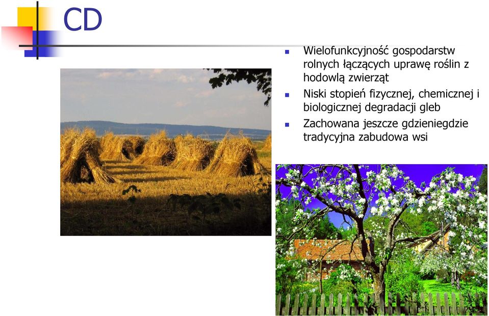 fizycznej, chemicznej i biologicznej degradacji