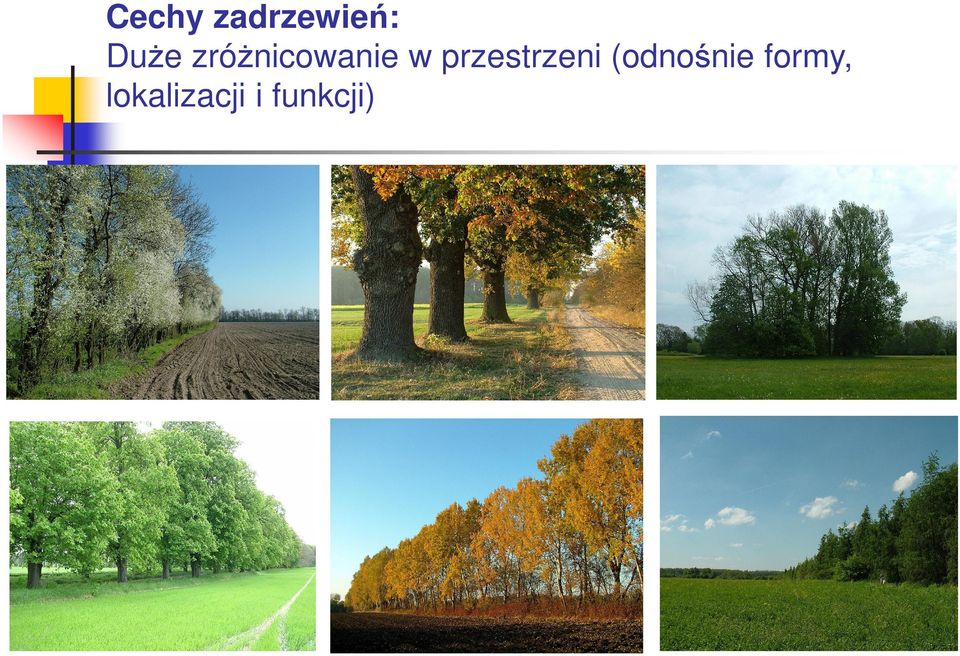 przestrzeni (odnośnie