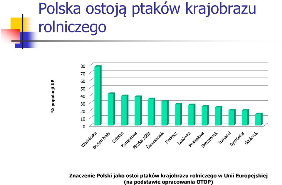 Znaczenie Polski jako ostoi ptaków krajobrazu