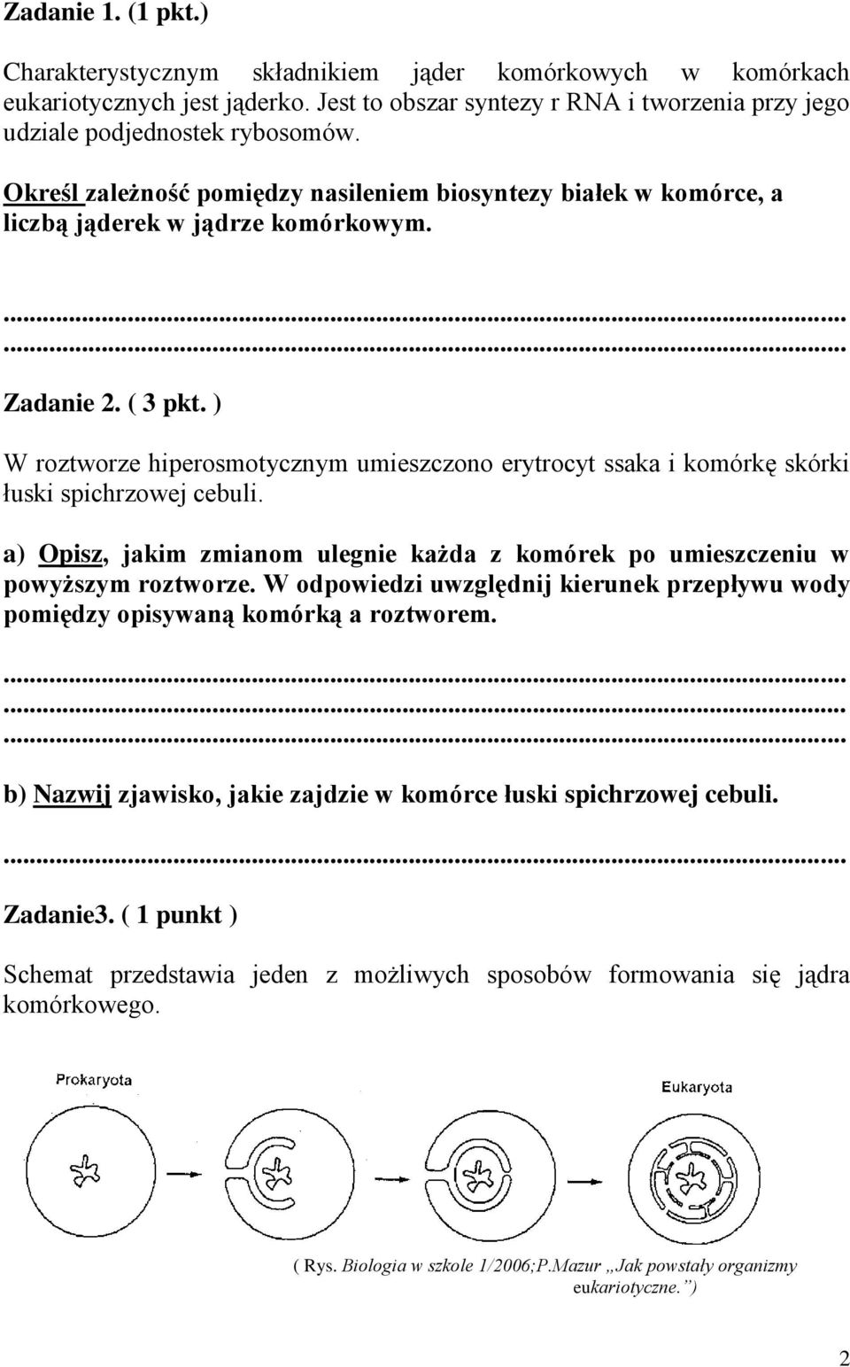 ) W roztworze hiperosmotycznym umieszczono erytrocyt ssaka i komórkę skórki łuski spichrzowej cebuli. a) Opisz, jakim zmianom ulegnie każda z komórek po umieszczeniu w powyższym roztworze.
