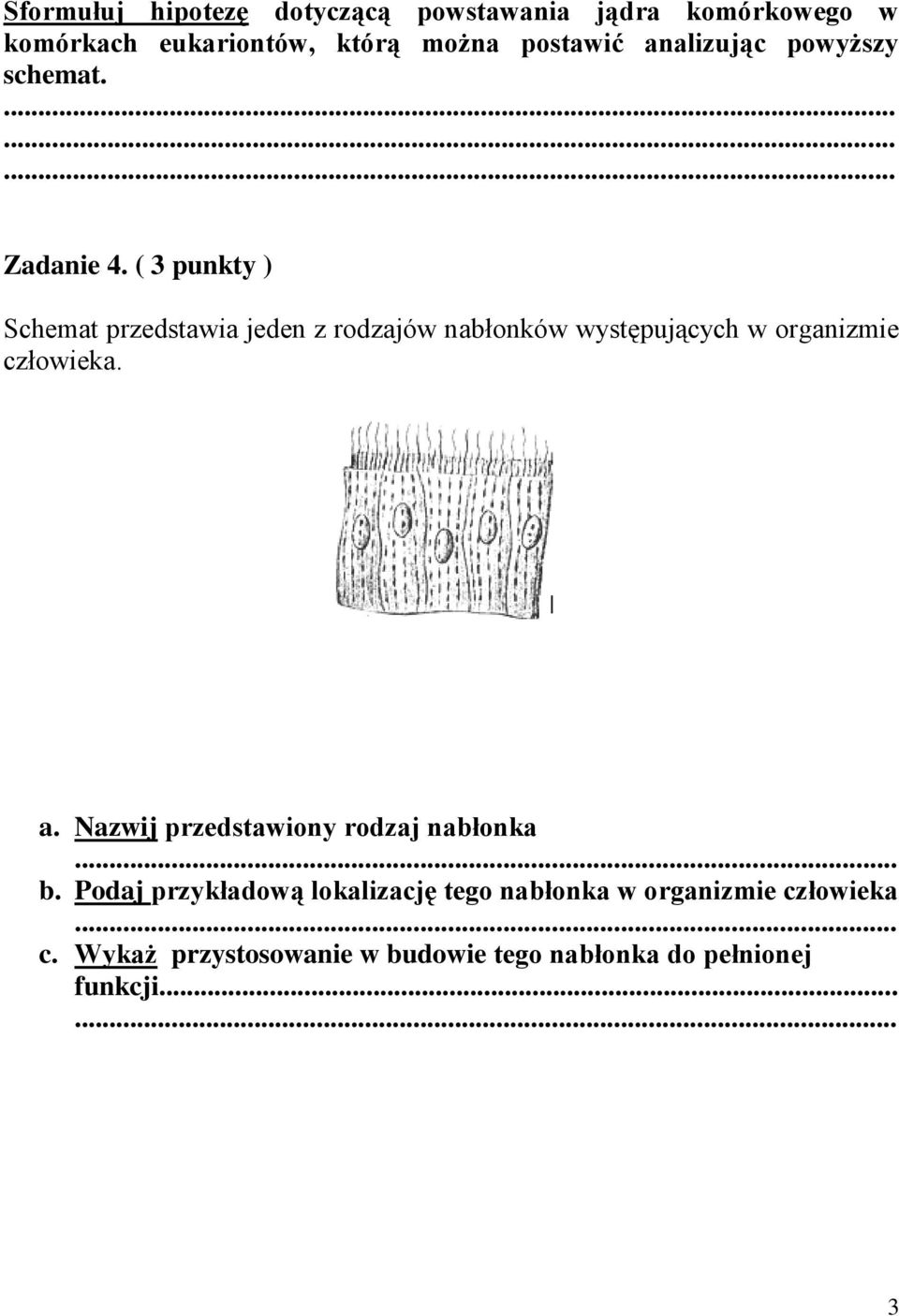 ( 3 punkty ) Schemat przedstawia jeden z rodzajów nabłonków występujących w organizmie człowieka. a.