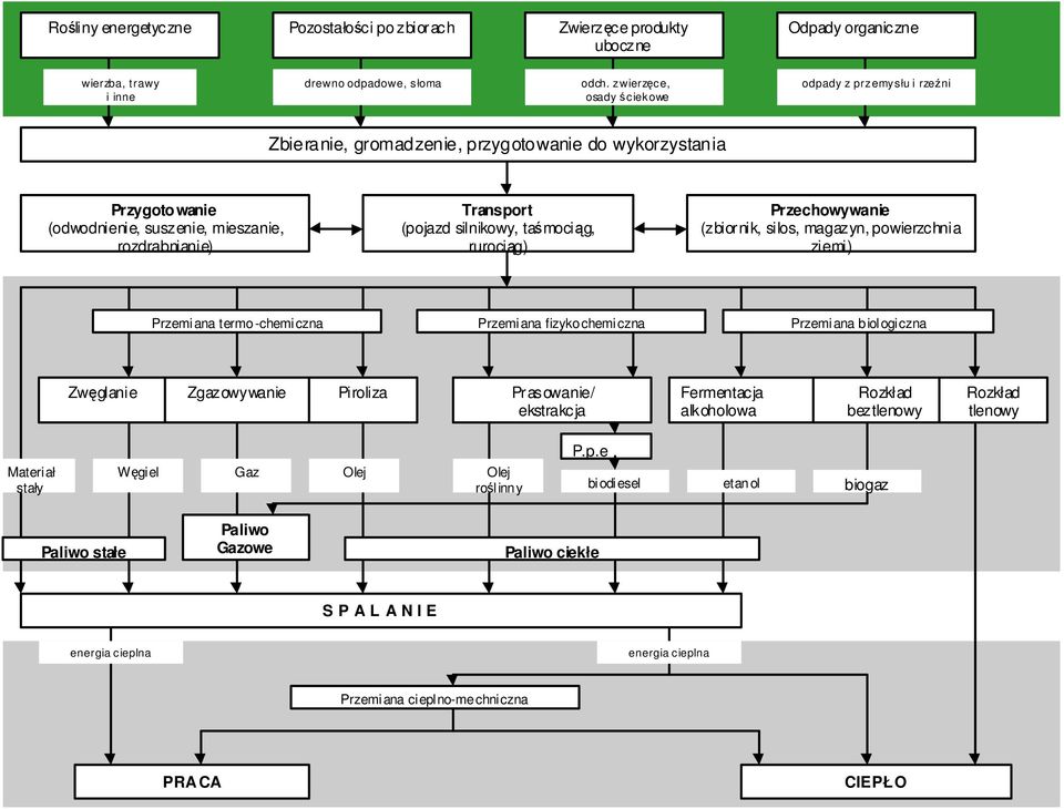 silnikowy, taśmociąg, rurociąg) Przechowywanie (zbiornik, silos, magazyn, powierzchnia ziemi) Przemiana termo-chemiczna Przemiana fizykochemiczna Przemiana biologiczna Zwęglanie Zgazowywanie Piroliza
