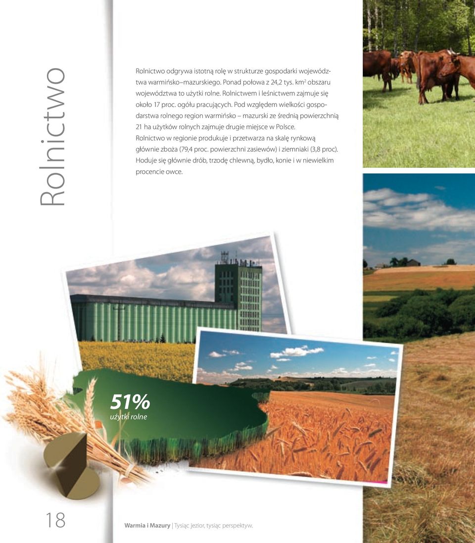 Pod względem wielkości gospodarstwa rolnego region warmińsko mazurski ze średnią powierzchnią 21 ha użytków rolnych zajmuje drugie miejsce w Polsce.