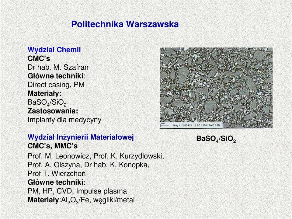 InŜynierii Materiałowej CMC s, MMC s Prof. M. Leonowicz, Prof. K. Kurzydlowski, Prof.