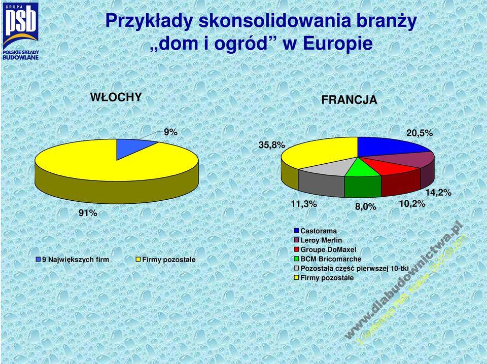 Największych firm Firmy pozostałe Castorama Leroy Merlin