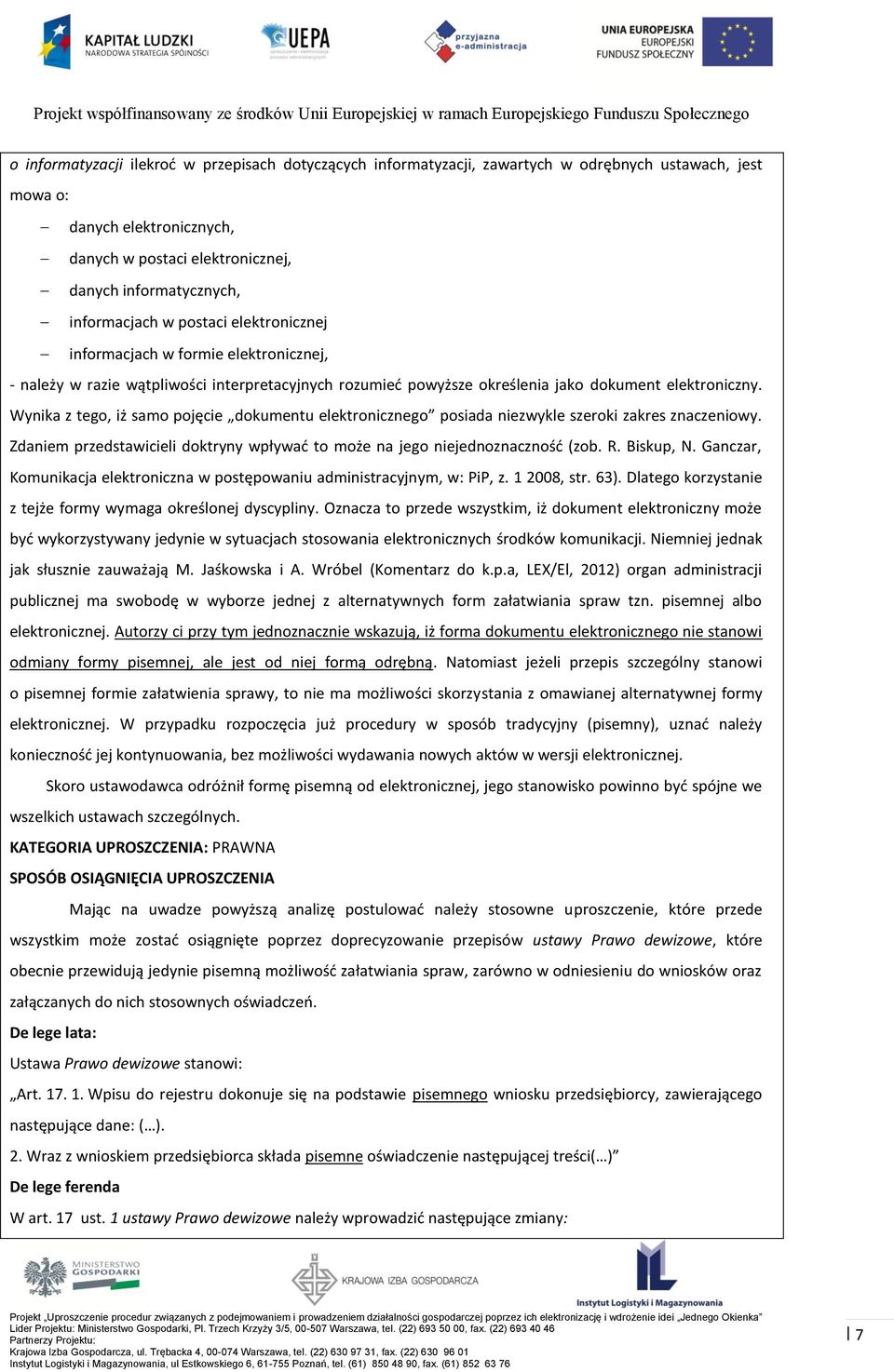 Wynika z tego, iż samo pojęcie dokumentu elektronicznego posiada niezwykle szeroki zakres znaczeniowy. Zdaniem przedstawicieli doktryny wpływać to może na jego niejednoznaczność (zob. R. Biskup, N.