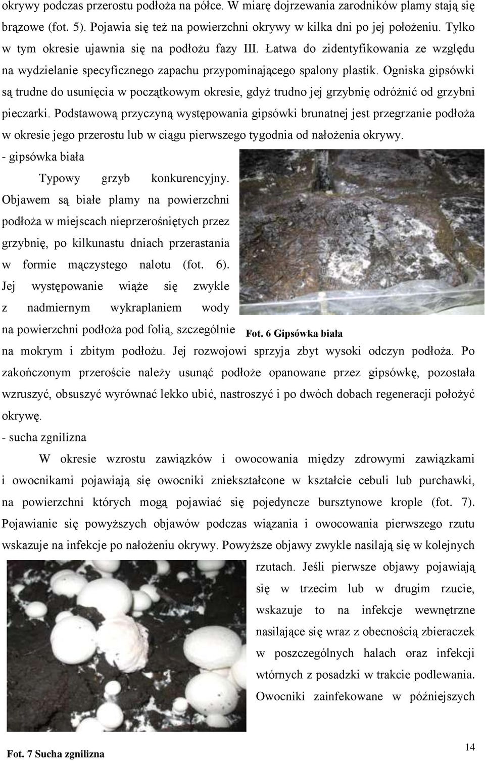 Ogniska gipsówki są trudne do usunięcia w początkowym okresie, gdyż trudno jej grzybnię odróżnić od grzybni pieczarki.