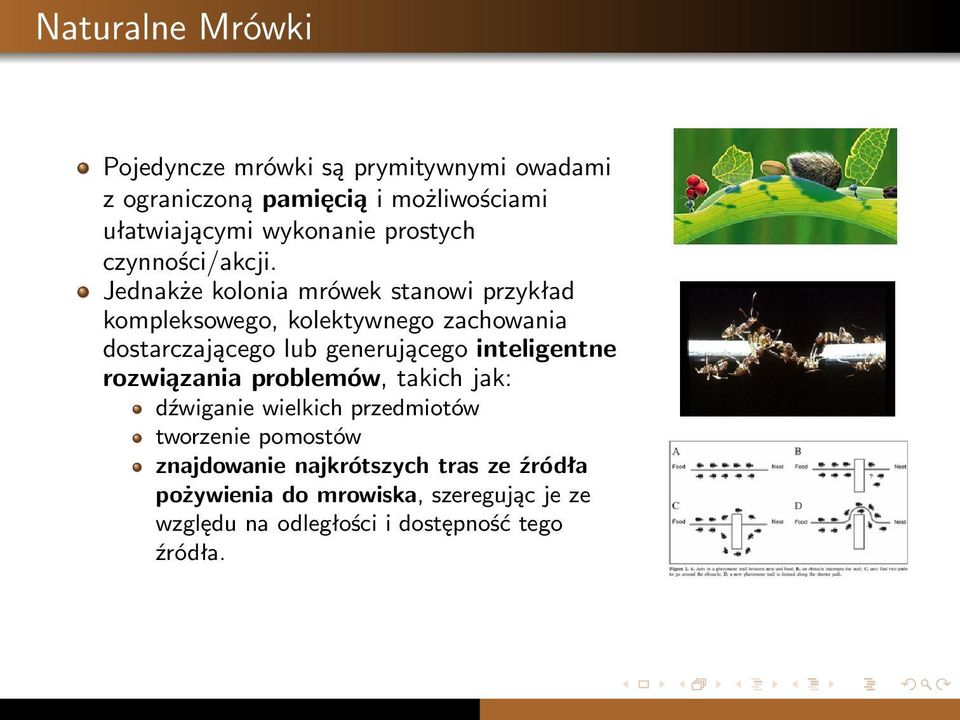 Jednakże kolonia mrówek stanowi przykład kompleksowego, kolektywnego zachowania dostarczającego lub generującego