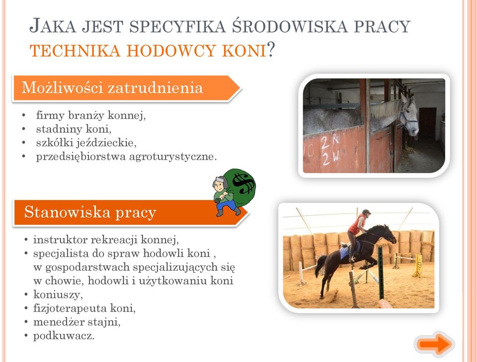 agroturystyczne.