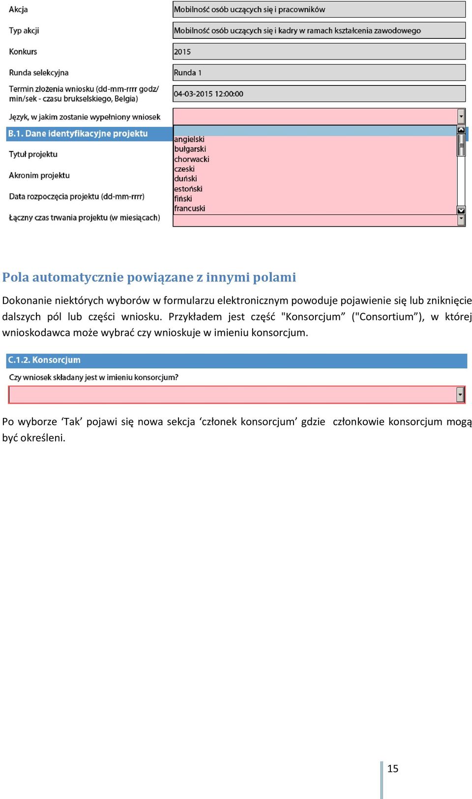 Przykładem jest część "Konsorcjum ("Consortium ), w której wnioskodawca może wybrać czy wnioskuje w