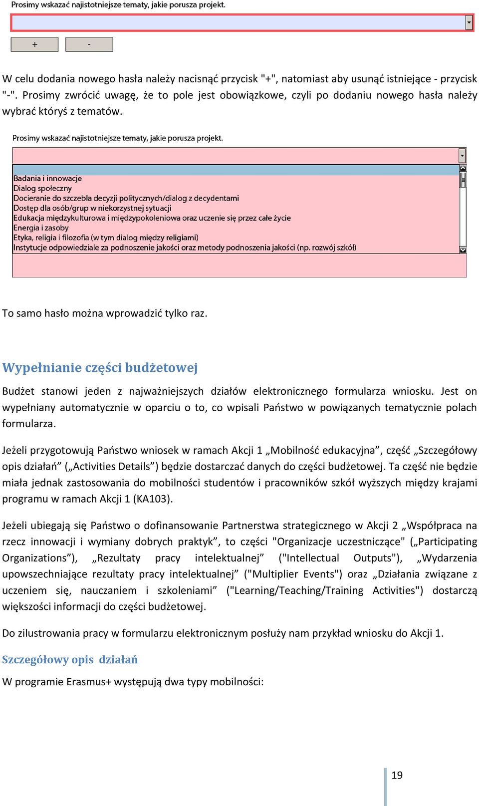 Wypełnianie części budżetowej Budżet stanowi jeden z najważniejszych działów elektronicznego formularza wniosku.