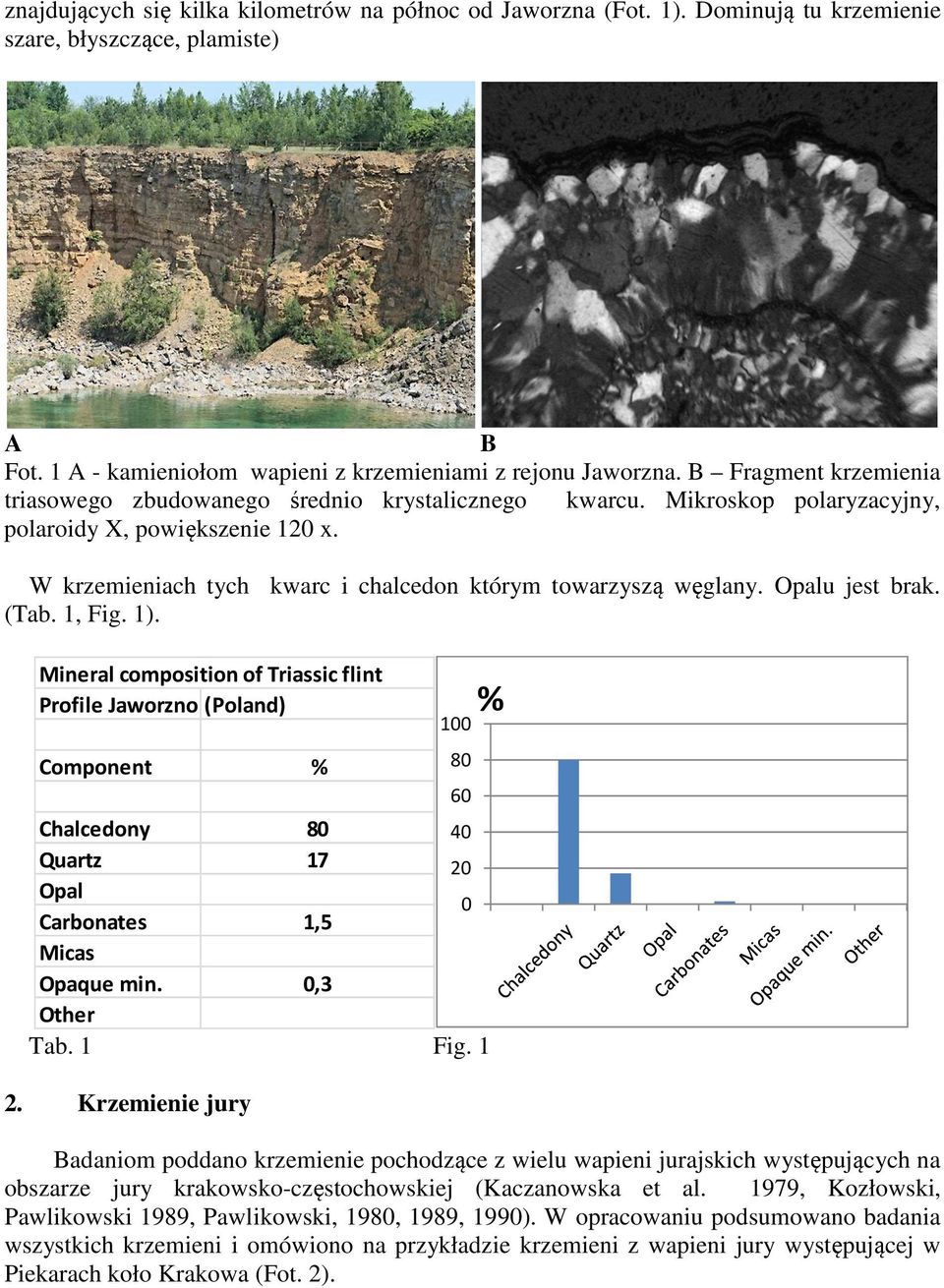 Opalu jest brak. (Tab. 1, Fig. 1). Mineral composition of Triassic flint Profile Jaworzno (Poland) Component % Chalcedony 80 40 Quartz 17 20 Opal Carbonates 1,5 0 Micas Opaque min. 0,3 Other Tab.
