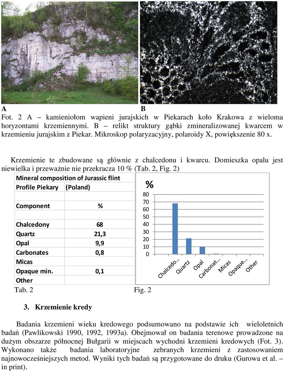 2) Mineral composition of Jurassic flint Profile Piekary (Poland) Component % Chalcedony 68 Quartz 21,3 Opal 9,9 Carbonates 0,8 Micas Opaque min. 0,1 Other Tab. 2 Fig. 2 3.