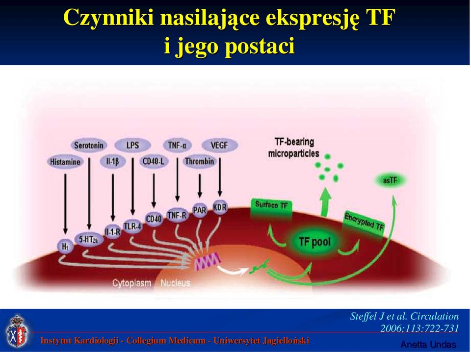 postaci Steffel J et al.