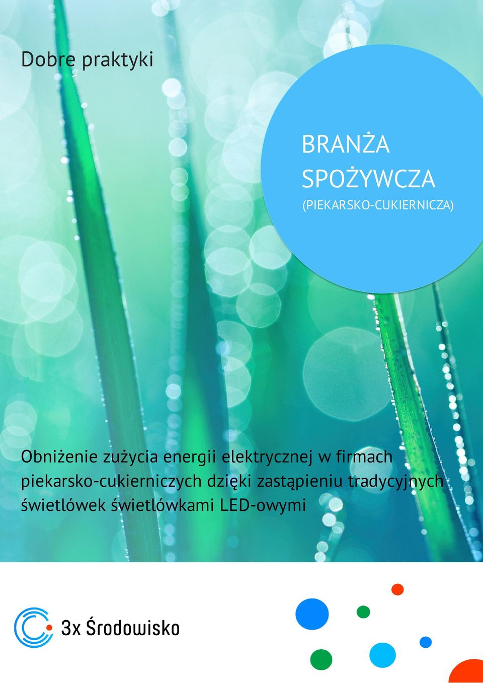 energii elektrycznej w firmach