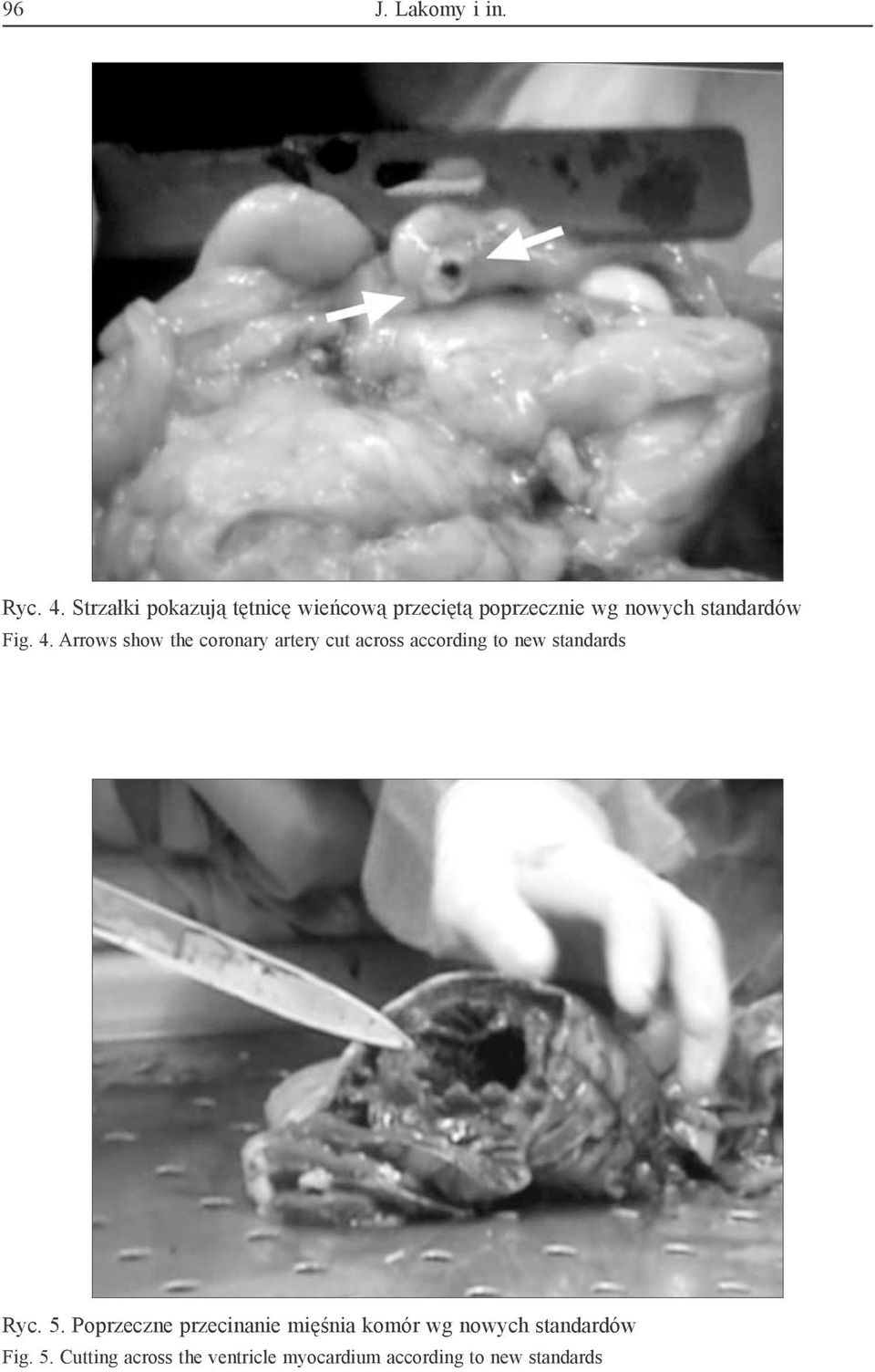 Fig. 4.