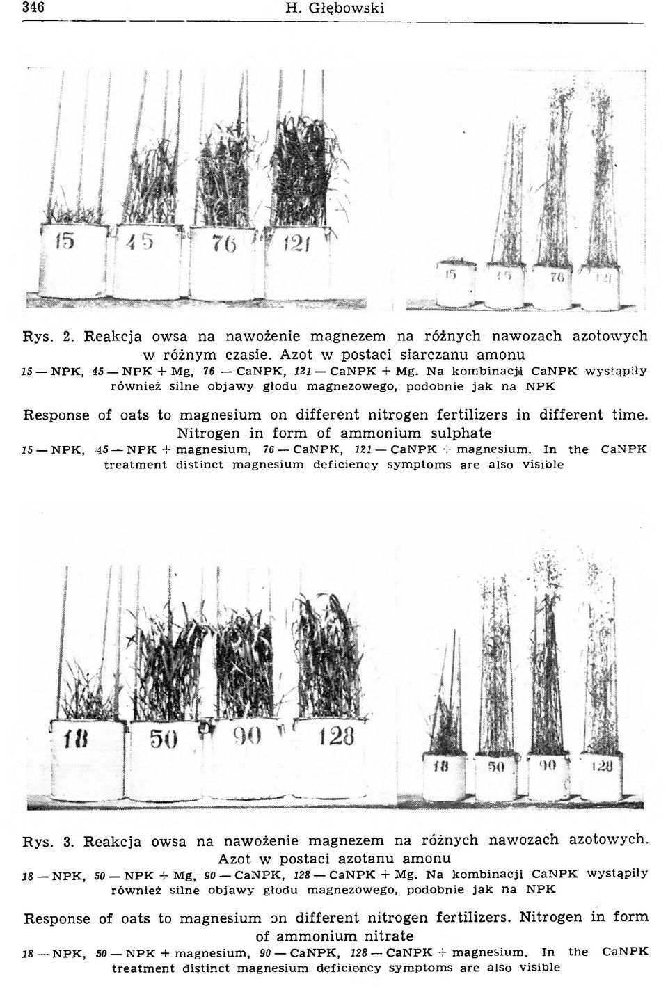 Nitrogen in form of ammonium sulphate 15 N P K, 45 N P K + m a g n esiu m, 76 C an PK, 121 C an P K + m a g n esiu m.