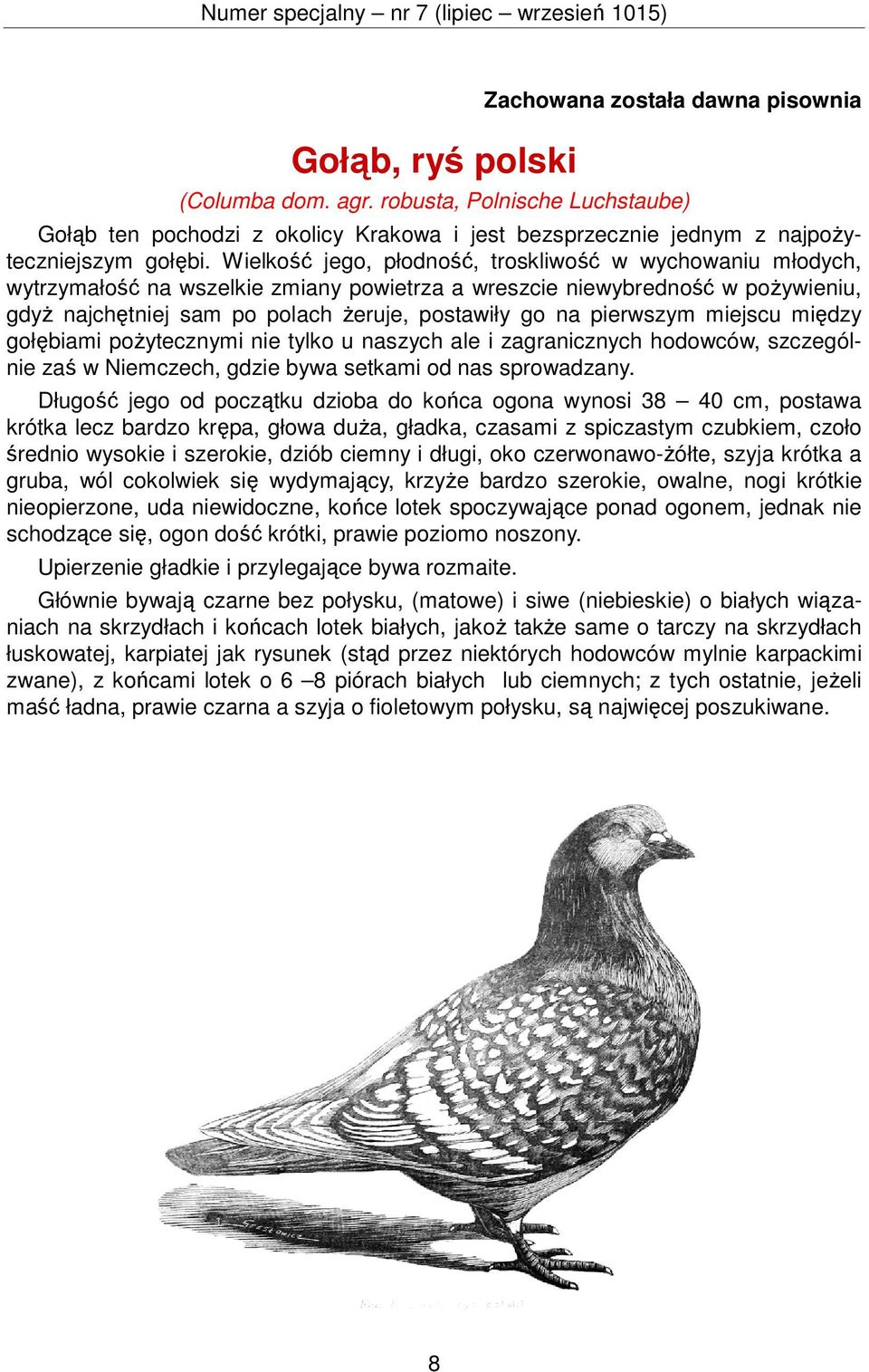 Rasowe gołębie, drób, króliki i inne zwierzęta - PDF Darmowe pobieranie