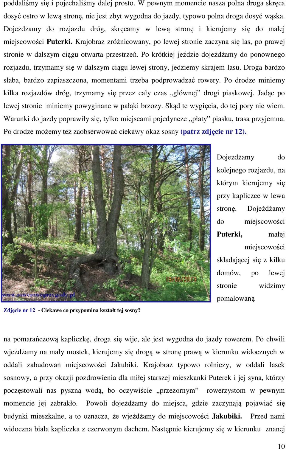 Krajobraz zróżnicowany, po lewej stronie zaczyna się las, po prawej stronie w dalszym ciągu otwarta przestrzeń.