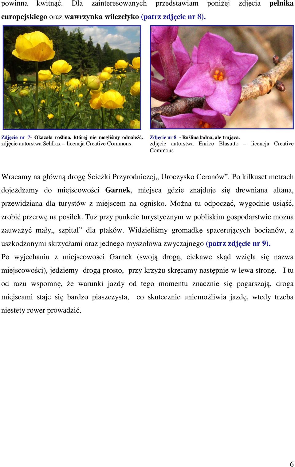 zdjęcie autorstwa Enrico Blasutto licencja Creative Commons Wracamy na główną drogę Ścieżki Przyrodniczej Uroczysko Ceranów.