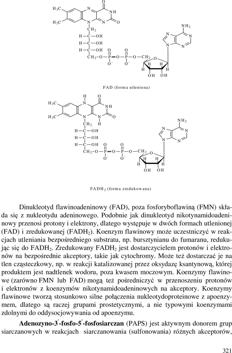 Koenzym flawinowy moŝe uczestniczyć w reakcjach utleniania bezpośredniego substratu, np. bursztynianu do fumaranu, redukując się do FAD 2.