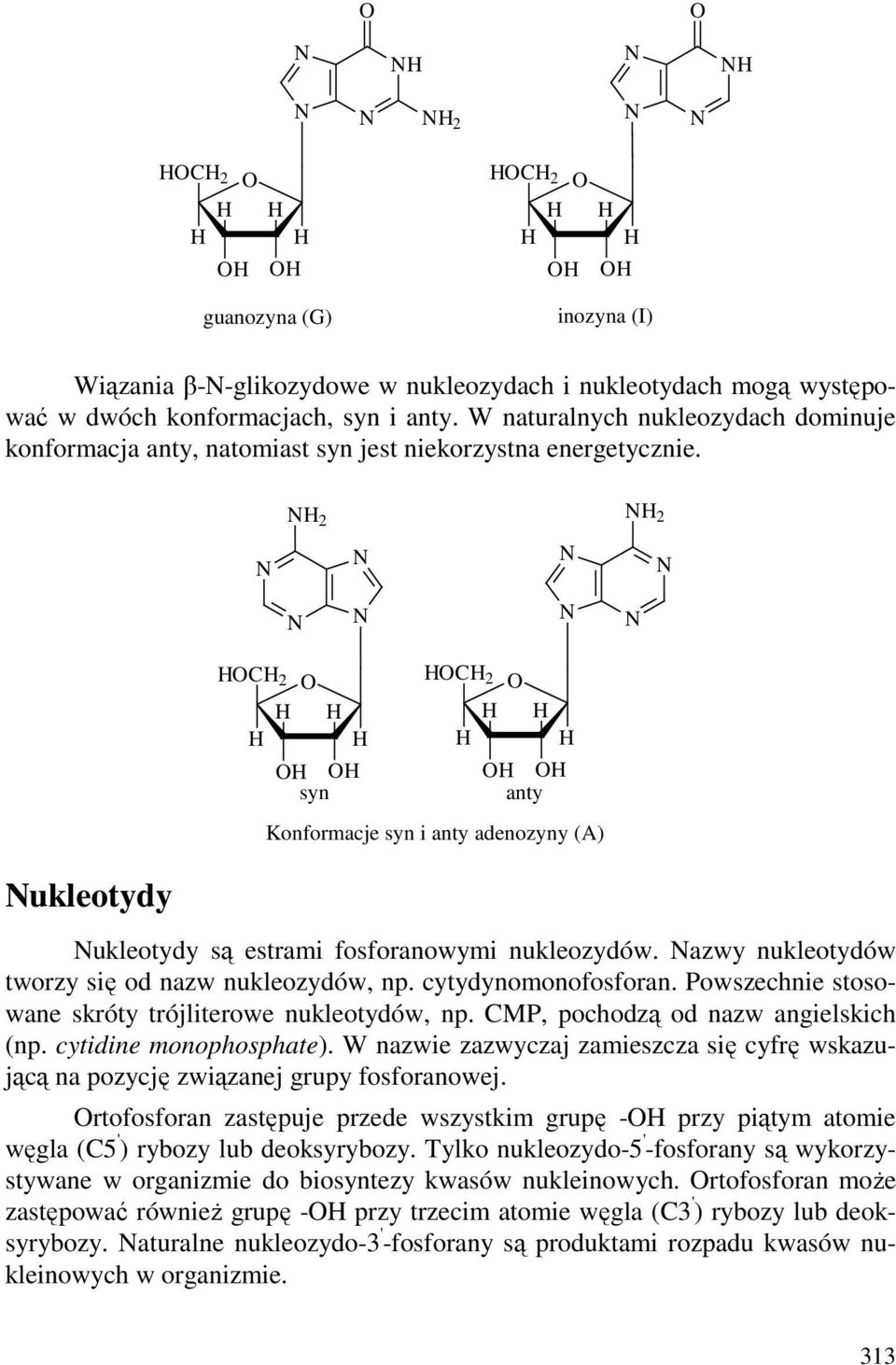 2 2 C 2 C 2 syn anty Konformacje syn i anty adenozyny (A) ukleotydy ukleotydy są estrami fosforanowymi nukleozydów. azwy nukleotydów tworzy się od nazw nukleozydów, np. cytydynomonofosforan.