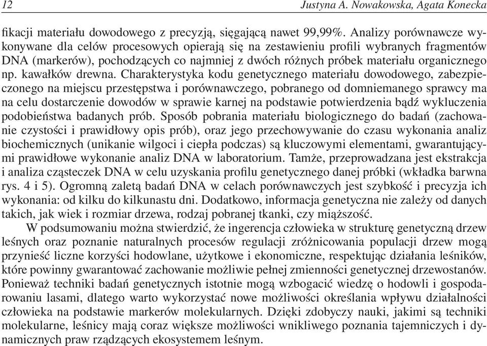 kawałków drewna.