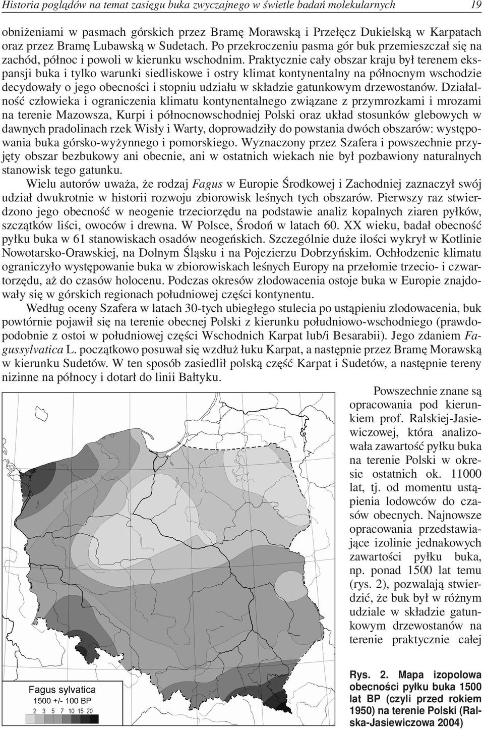 Praktycznie cały obszar kraju był terenem ekspansji buka i tylko warunki siedliskowe i ostry klimat kontynentalny na północnym wschodzie decydowały o jego obecności i stopniu udziału w składzie