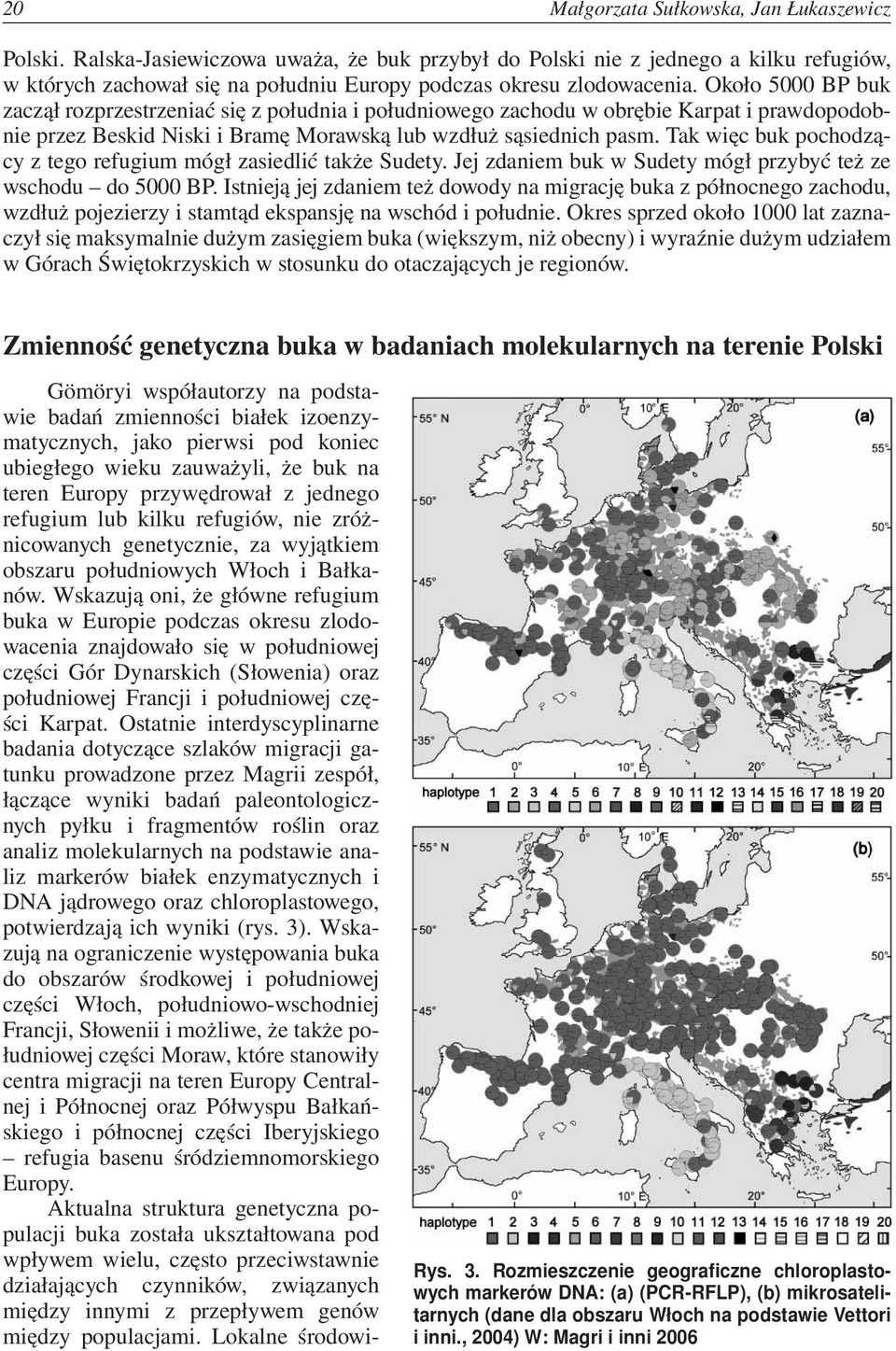 Około 5000 BP buk zaczął rozprzestrzeniać się z południa i południowego zachodu w obrębie Karpat i prawdopodobnie przez Beskid Niski i Bramę Morawską lub wzdłuż sąsiednich pasm.