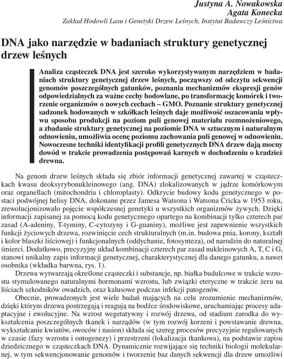 szeroko wykorzystywanym narzędziem w badaniach struktury genetycznej drzew leśnych, począwszy od odczytu sekwencji genomów poszczególnych gatunków, poznania mechanizmów ekspresji genów
