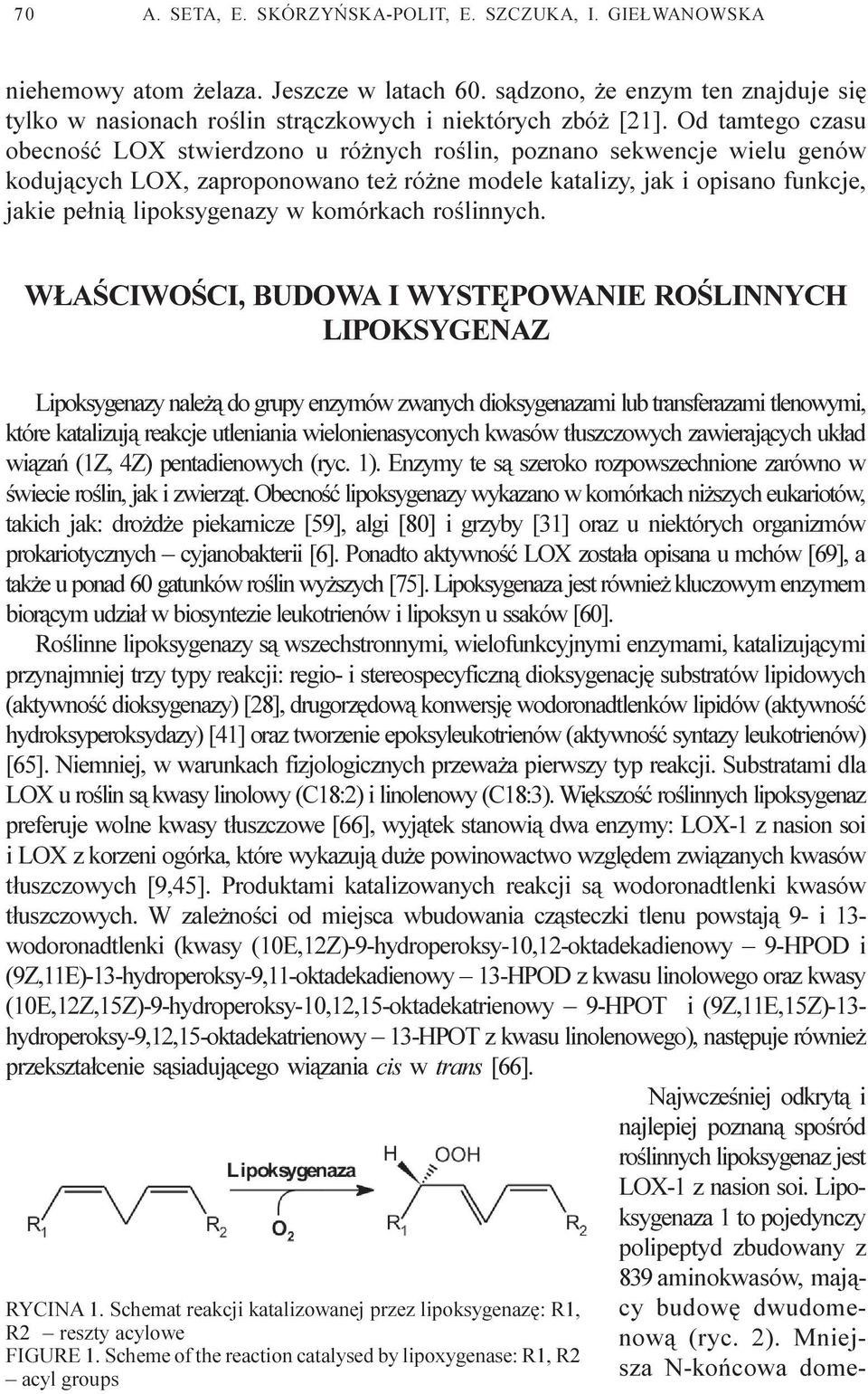 komórkach roœlinnych.