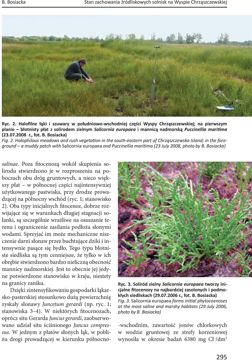 07.2008 r., fot. B. Bosiacka) Fig. 2.