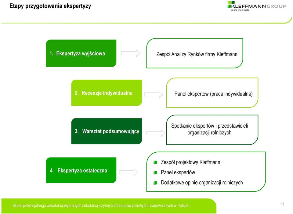 Recenzje indywidualne Panel ekspertów (praca indywidualna) 3.