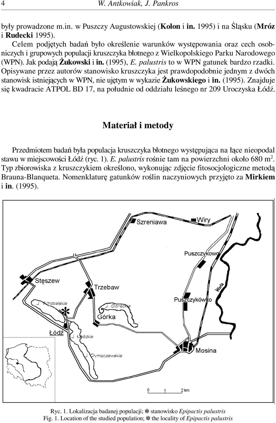 (1995), E. palustris to w WPN gatunek bardzo rzadki.