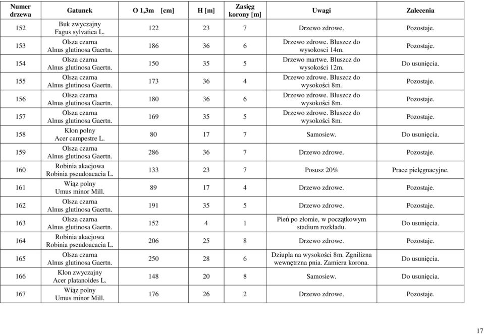Pozostaje. Pozostaje. Pozostaje. 80 17 7 Samosiew. 286 36 7 Drzewo zdrowe. Pozostaje. 133 23 7 Posusz 20% Prace pielęgnacyjne. 89 17 4 Drzewo zdrowe. Pozostaje. 191 35 5 Drzewo zdrowe. Pozostaje. 152 4 1 Pień po złomie, w początkowym stadium rozkładu.