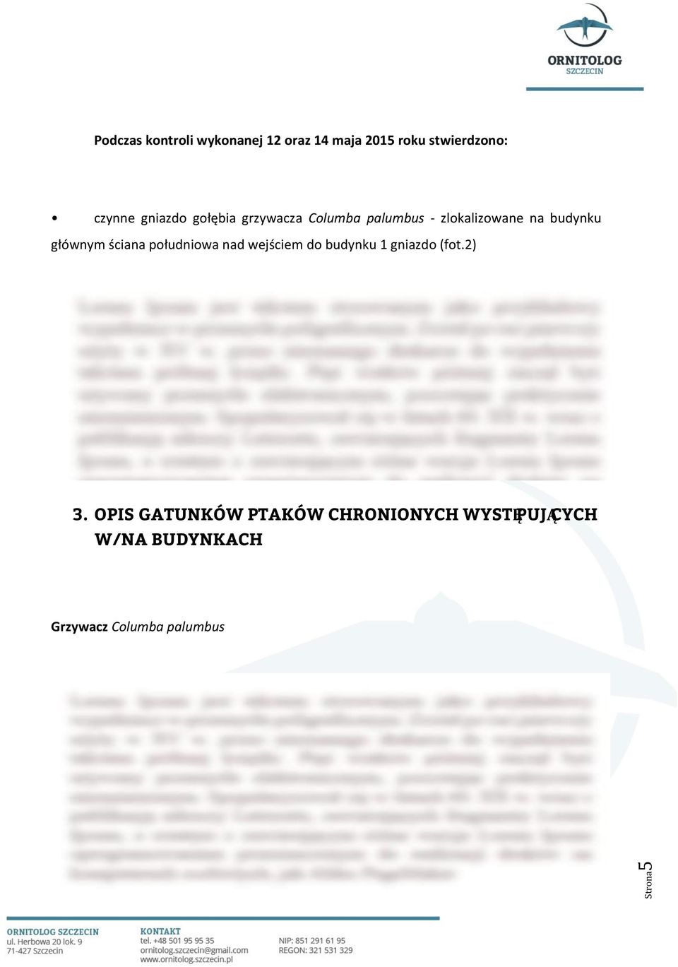 Gniazdo znajduje się na budynku sąsiadującym z budynkiem szpitala (budynek Pomorskiego Uniwersytetu Medycznego w Szczecinie) nieobjętego pracami budowlanymi (fot. 3).