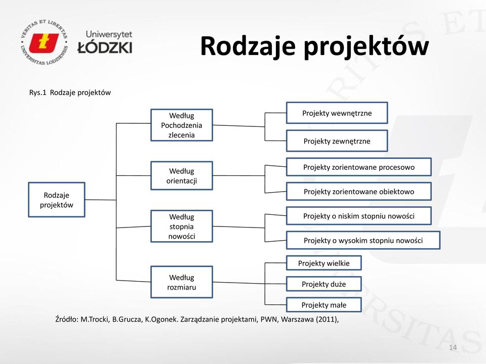 orientacji Według stopnia nowości Projekty zorientowane procesowo Projekty zorientowane obiektowo Projekty o