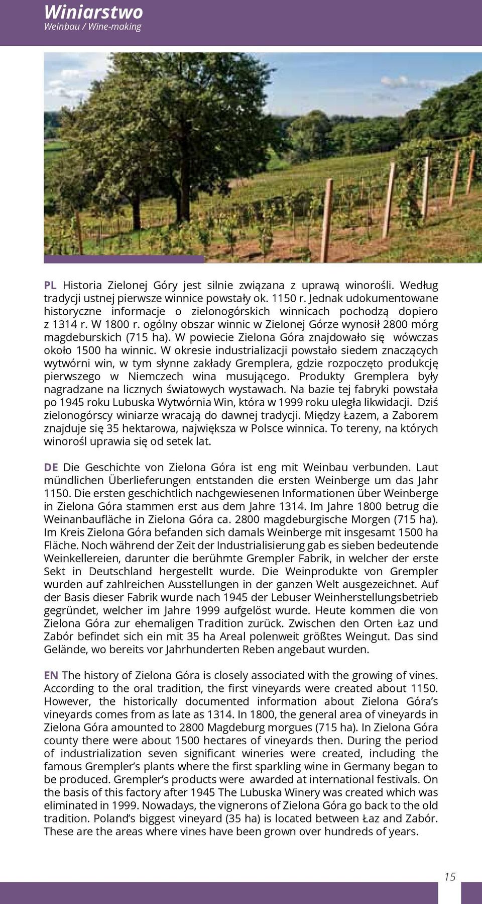W powiecie Zielona Góra znajdowało się wówczas około 1500 ha winnic.