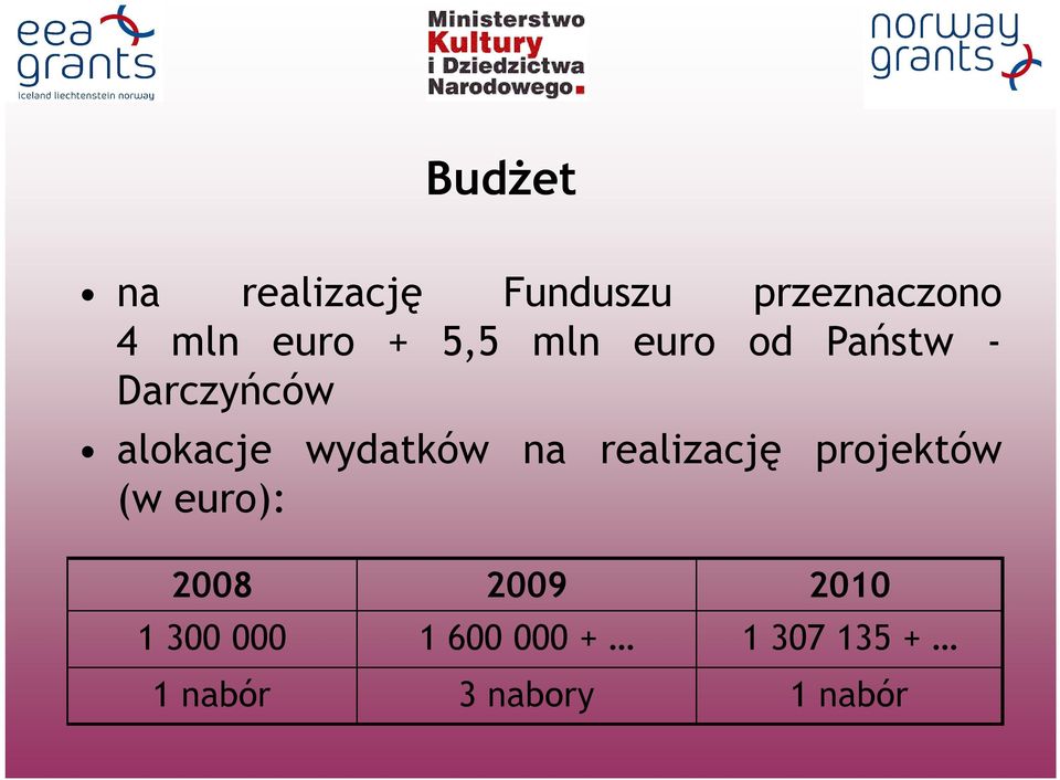 wydatków na realizację projektów (w euro): 2008 2009