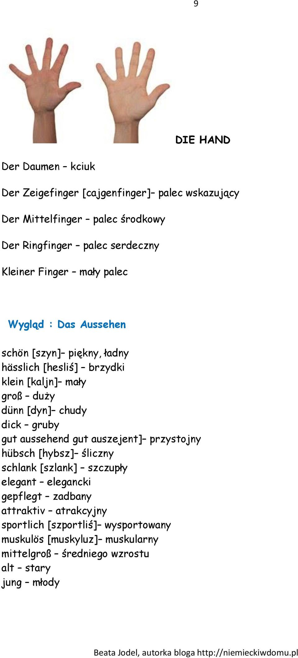 [dyn] chudy dick gruby gut aussehend gut auszejent] przystojny hübsch [hybsz] śliczny schlank [szlank] szczupły elegant elegancki gepflegt