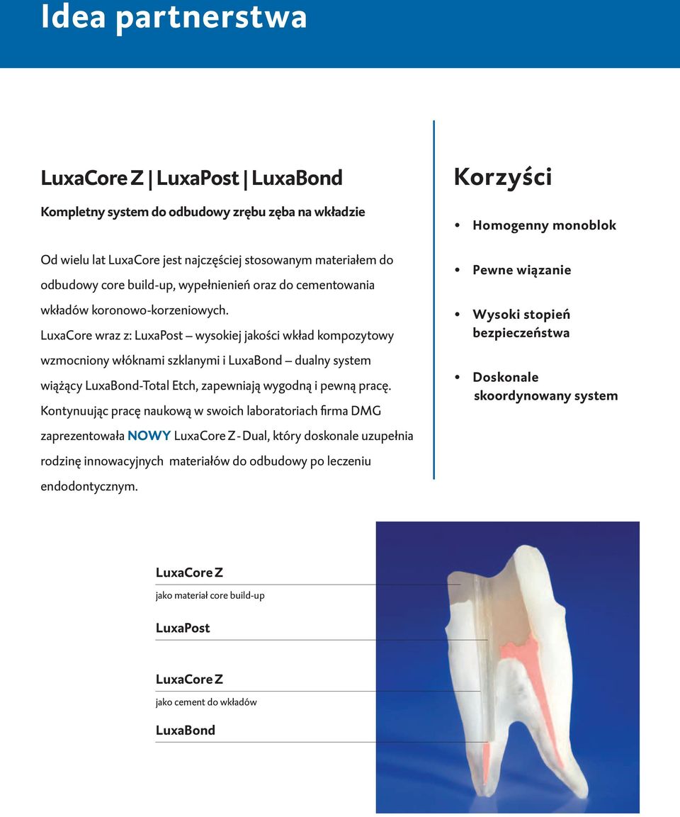 LuxaCore wraz z: LuxaPost wysokiej jakości wkład kompozytowy wzmocniony włóknami szklanymi i LuxaBond dualny system wiążący LuxaBond-Total Etch, zapewniają wygodną i pewną pracę.