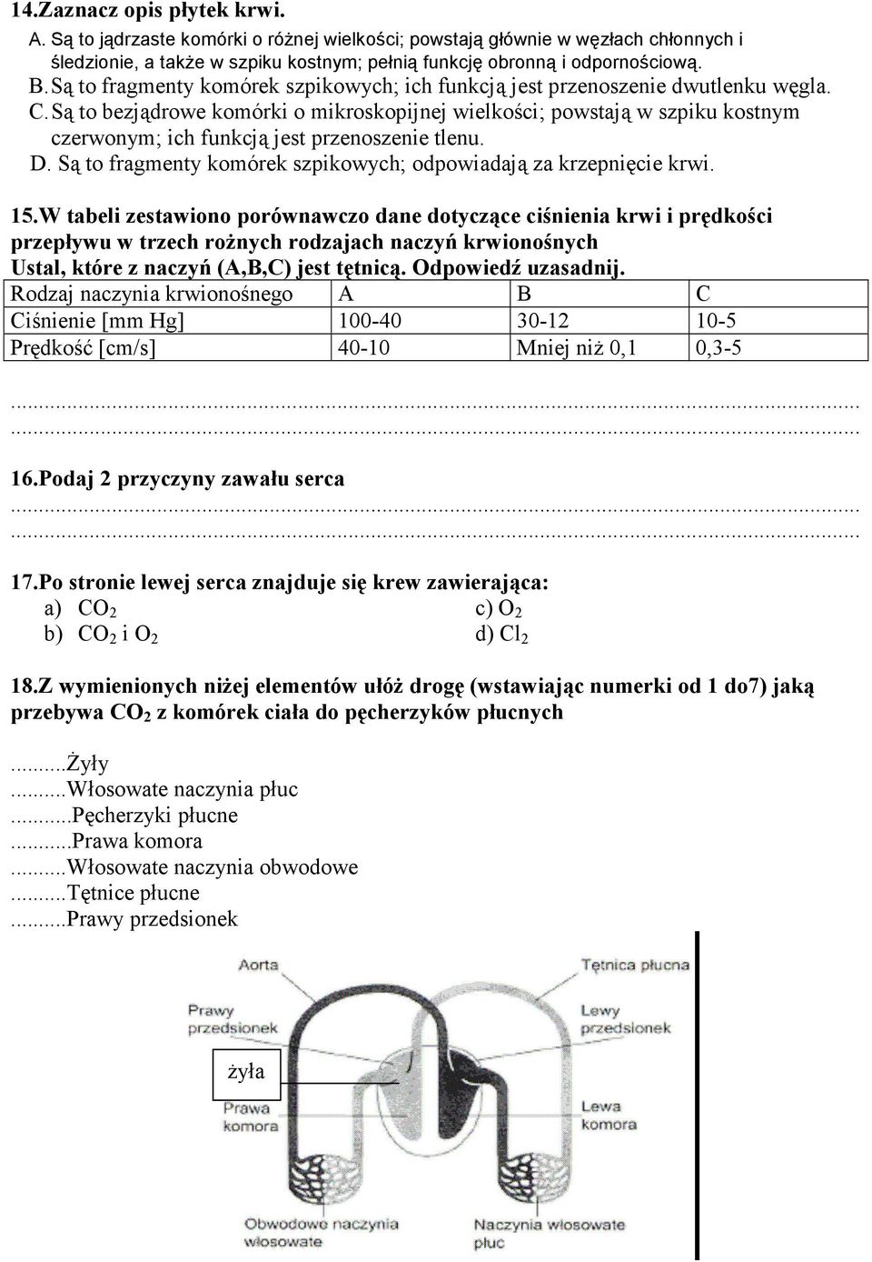 Są to bezjądrowe komórki o mikroskopijnej wielkości; powstają w szpiku kostnym czerwonym; ich funkcją jest przenoszenie tlenu. D. Są to fragmenty komórek szpikowych; odpowiadają za krzepnięcie krwi.