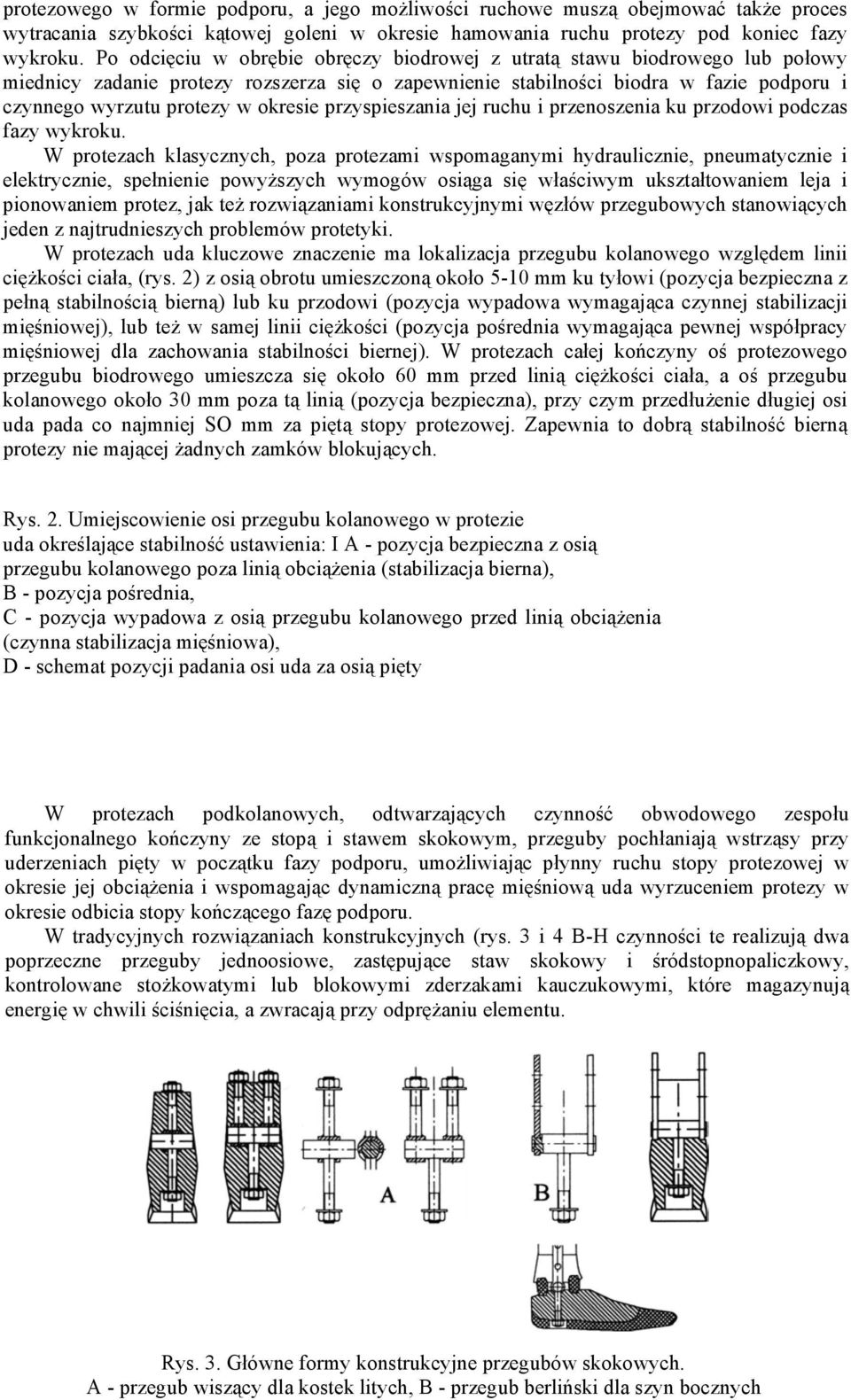 okresie przyspieszania jej ruchu i przenoszenia ku przodowi podczas fazy wykroku.